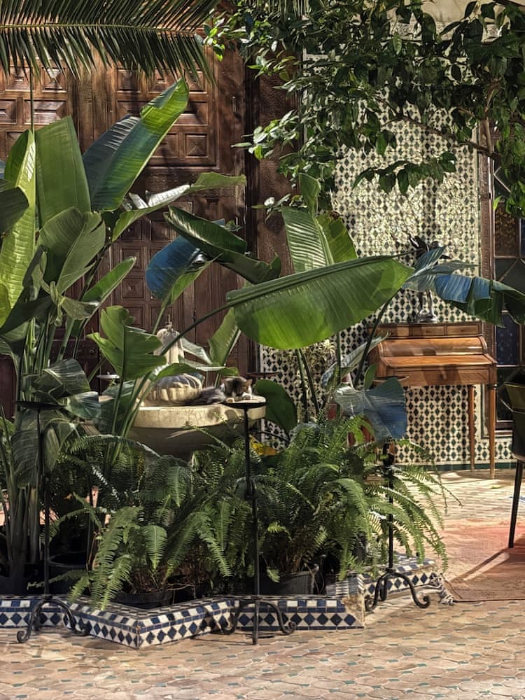 Riad Harmattan