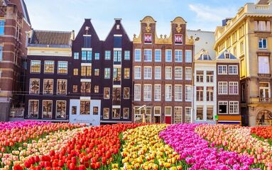 Muhafazakar Benelux ve Paris Turu THY ile 6 Gece - Köln Gidiş Dönüş